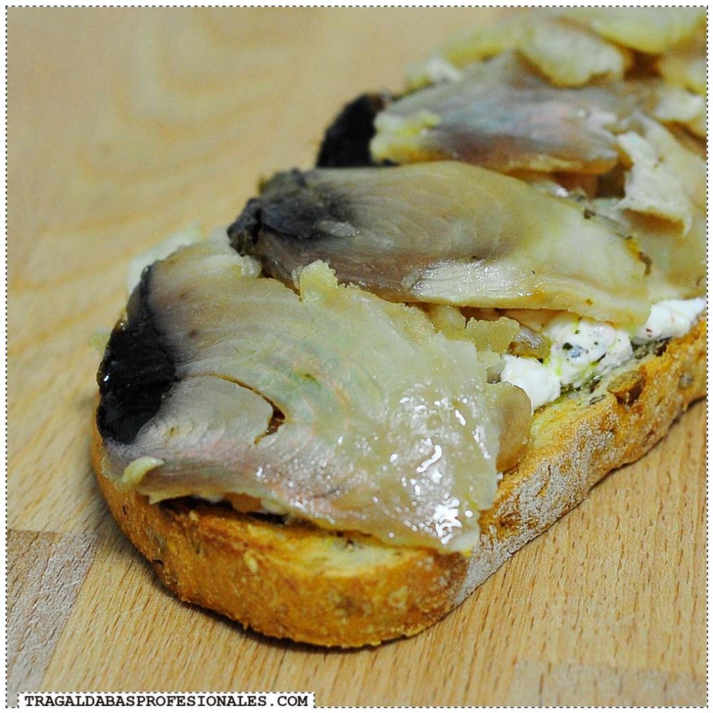Tragaldabas Profesionales Labneh - Tostada atún marinado