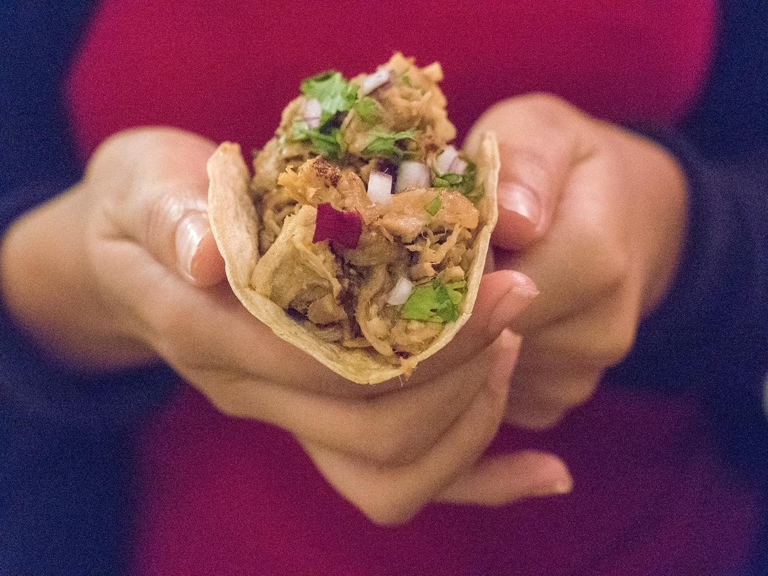 sra-chela-madrid-tacos-carnitas-tragaldabas-profesionales